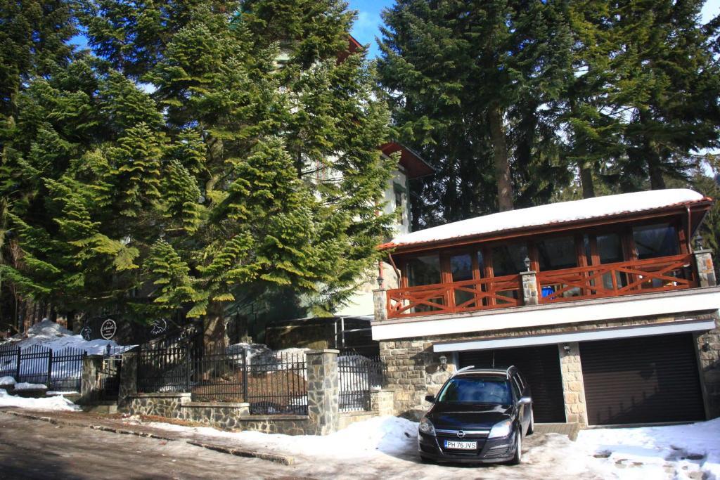 Acvila Sinaia